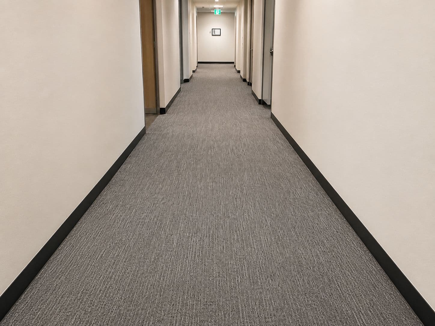 After: Carpet Cleaning